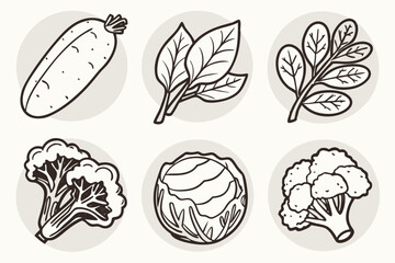 a-set-of-8-icons-focusing-on-potato--lettuce--spin (12)