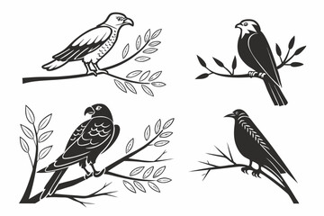 a-set-of-25-icons-focusing-on-mixed-birds-item-bla (13)