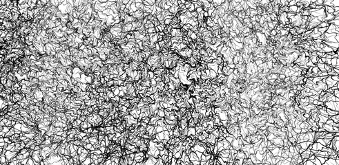 Obraz premium A dense web of lines and swirls on a light background. Visually resembles a weave of capillaries or graphite lines
