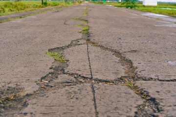 Cracked Asphalt Road Surface With Weeds Growing Through In Rural Setting
