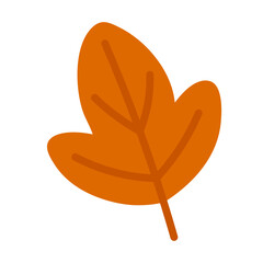Vector illustration of a simple orange autumn leaf with visible veins, isolated on white background.
