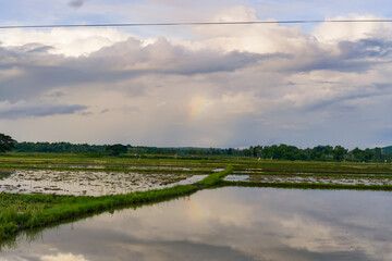 Fototapeta premium Tranquil Agricultural Field Under Cloudy Sky With Rainbow