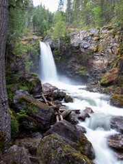 Waterfalls from Inland Rainforest Near Revelstoke, British Columbia, Canada