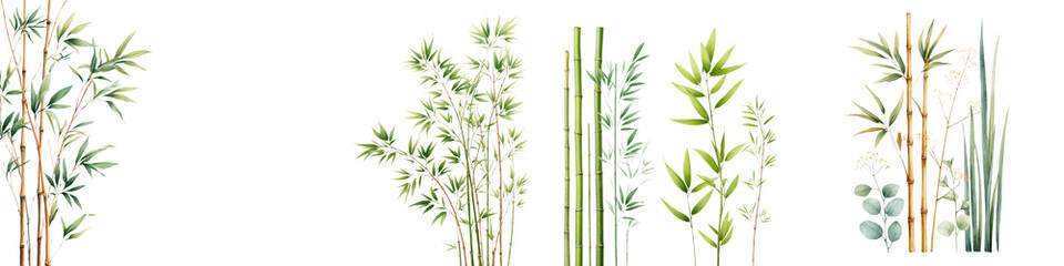 Obraz premium Lush, vibrant greenery featuring bamboo, succulents, and various leaves in a natural, organic style, perfect for enhancing interior decor or botanical themes.