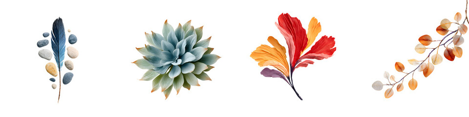 Vibrant, artistic floral motifs featuring colorful leaves, succulents, and organic forms in a natural style ideally suited for home decor, wallpaper, or botanical illustrations