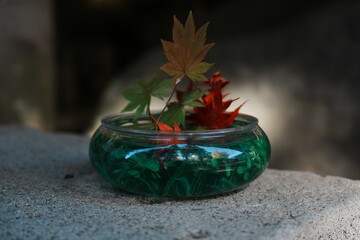 Zen Still Life with Japanese Maple Leaves Floating in a Decorative Water Bowl