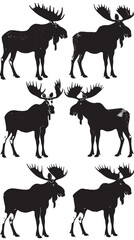 Fototapeta premium Moose Silhouette Vectors , black silhouettes isolated on white background