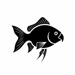 fish vector illustration