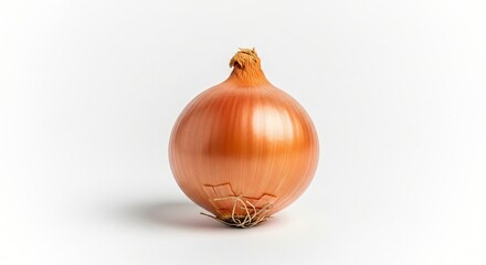 Single Brown Onion A Culinary Staple, Fresh and Ready to Use