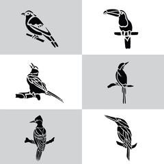 Bird Silhouette Vector Icon Set – Black and White Flying, Perched, and Standing Birds – Animal Clip Art Collection for Nature, Wildlife, Graphic Design, Decoration, and Illustrations