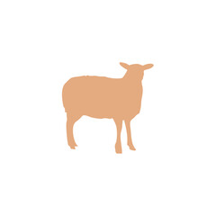 Eid Al Adha sheep and goat. Celebration of Muslim holiday the sacrifice