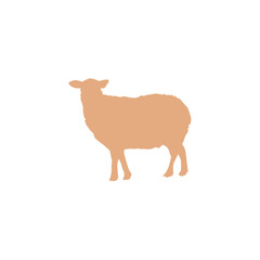 Eid Al Adha sheep and goat. Celebration of Muslim holiday the sacrifice