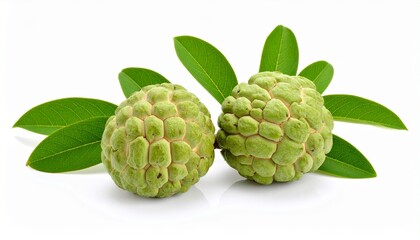 Fototapeta premium Beautiful Custard apple isolated on white background 