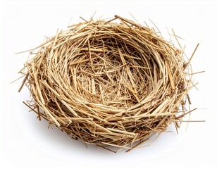 Obraz premium Ricebird bird nest isolated on white background 