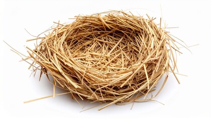 Ricebird bird nest isolated on white background 