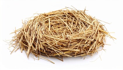 Obraz premium Ricebird bird nest isolated on white background 