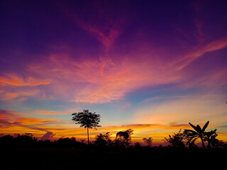 Obraz premium sunset with palm trees