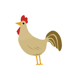 Colorful vector illustration of a chicken with simple and playful design. Great for educational content, animal collections, prints, or agriculture themes