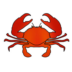 Red sea crab flat design cartoon illustration. Beach, sand, crustaceans.