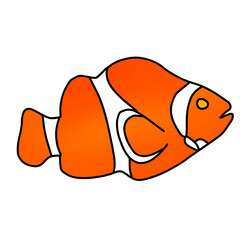 A cartoon illustration of the flat design of the white and orange nemo or Amphiprion ocellaris or clownfish. Sea, water, coral.