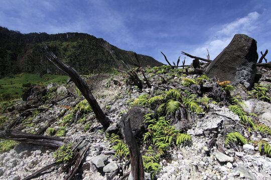 scenery volcano papandayan mountain with summer blue sky at Garut West Java Indonesia 