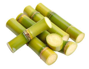 Fototapeta premium Sugarcane Stalks: Fresh sugarcane stalks, revealing a vibrant green hue and refreshing nature in a clear and close-up studio shot.