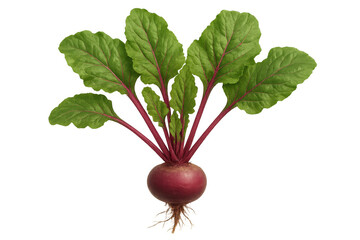 Vibrant beetroot with lush green leaves, isolated on a transparent background, ready for creative projects