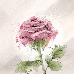 Trendy watercolor stylish rose on a textured beige background, hand-drawn illustration. Sticker, postcard, sketch, watercolor flower, rose