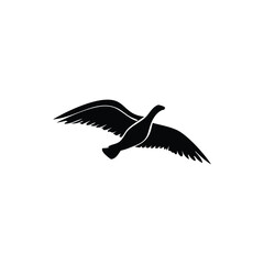 Elegant Eagle Vector Illustration