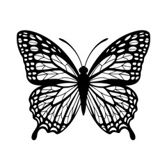 Download black and white butterfly vector illustration for free intricate design and detailed wings art 100 silhouette