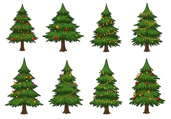 Fototapeta premium Festive Evergreen Collection