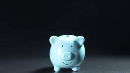 Saving money action home financial planning content indoor environment close-up viewpoint personal...