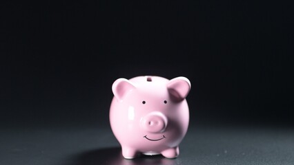 Saving money action home financial planning content indoor environment close-up viewpoint personal finance concept for budgeting and savings strategies