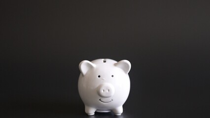 Saving money action home financial planning content indoor environment close-up viewpoint personal finance concept for budgeting and savings strategies