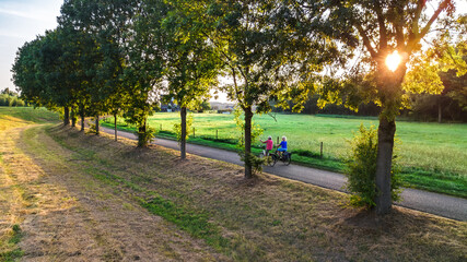 Elderly people cycling on bicycle lane between trees aerial drone view from above, beautiful cycling path, typical Dutch countryside landscape and cyclists on bikes in the Netherlands