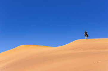 Tourist walking on beautiful sunrise red sand dunes, african adventure in Sossusvlei, Namib desert, Namibia, South Africa
