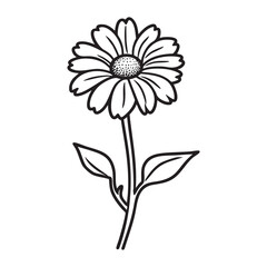 Cartoon Daisy Flower Coloring Page