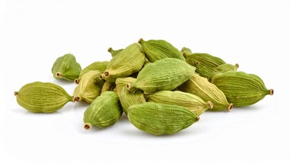 Cardamom isolated on white background 