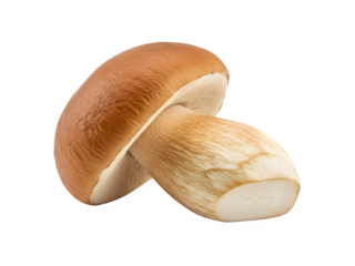 porcini mushroom isolated on transparent background Generative Ai.

