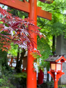 Kyoto Kifune Shrine