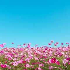 Obraz premium Azure Embrace of Cosmos