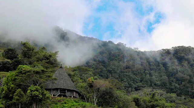 Wae Rebo traditional village the house roofs covered with straw remote indonesian village Labuan Bajo Indonesia