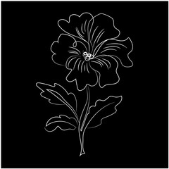 black and white flowers