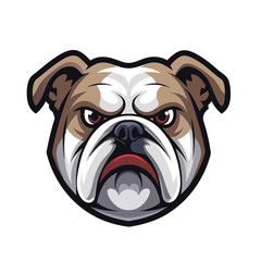 Bulldog face isolated vector illustration on white background