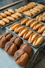 Large group of fresh breads 