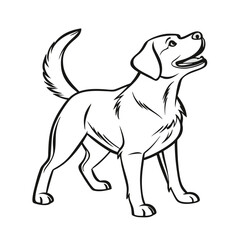 Fototapeta premium Labrador Retriever Dog outline vector on white background