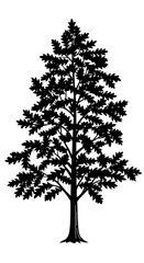 Fototapeta premium Ink-Drawn Arbor Silhouette