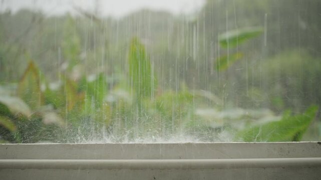Rainstorm Droplets Striking Ledge with Jungle Vegetation in Background Captured in Sharp Mid Shot Emphasizing Motion and Texture