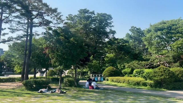 Sunny Park Walk with Trees and Flowers