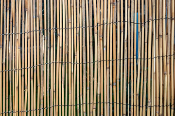 bamboo mat background